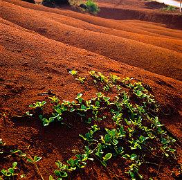 前《无主之地3》开发者将设计灵感用于合作射击新作